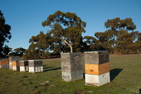 Fine Flavours - Full Day Kangaroo Island Food & Wine Tour - Accommodation Adelaide 5