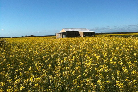 Fine Flavours - Full Day Kangaroo Island Food & Wine Tour - Accommodation Adelaide 11
