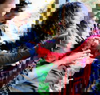 Sunset Experience - Accommodation Adelaide