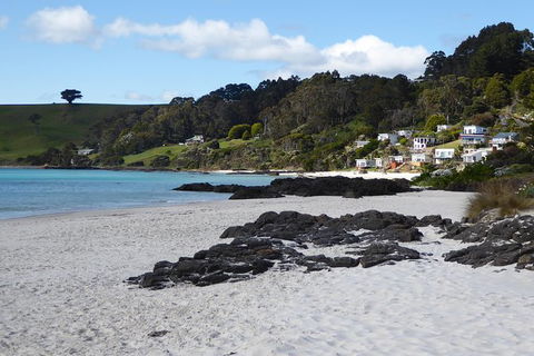 Cruise Ship Excursion: Stanley - Accommodation Adelaide 10