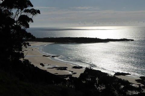 Cruise Ship Excursion: Stanley - Accommodation Adelaide 24