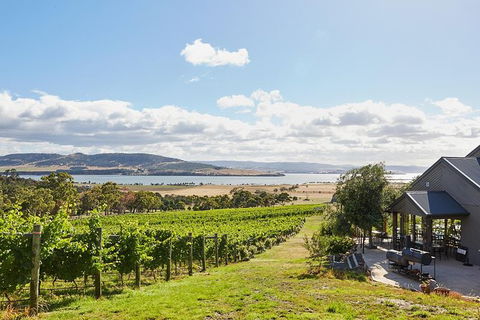 Launceston Wine & Sightseeing Tours - Accommodation Adelaide 0