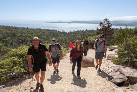 Half-Day Tour To Wineglass Bay From Launceston With Guide - Accommodation Adelaide 4
