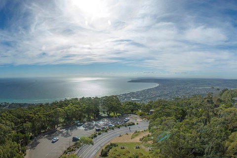 Peninsula Nature Tour - Accommodation Adelaide 8