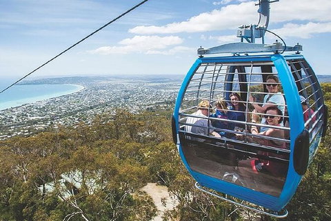 Peninsula Nature Tour - Accommodation Adelaide 1