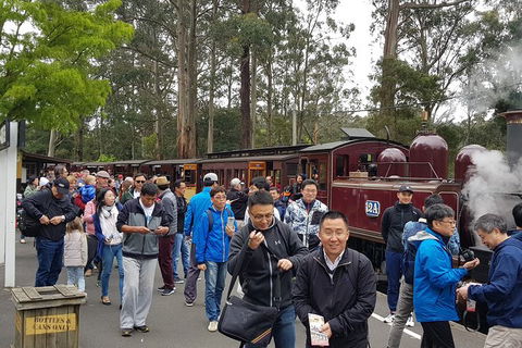 Day Tour Of Yarra Valley Puffing Billy And Rayners Orchard - Accommodation Adelaide 3
