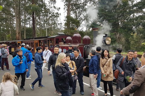 Day Tour Of Yarra Valley Puffing Billy And Rayners Orchard - Accommodation Adelaide 18