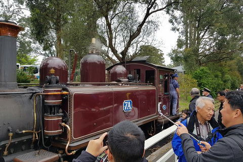Day Tour Of Yarra Valley Puffing Billy And Rayners Orchard - Accommodation Adelaide 28