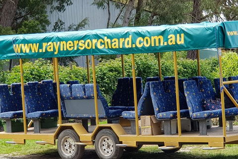 Day Tour Of Yarra Valley Puffing Billy And Rayners Orchard - Accommodation Adelaide 33