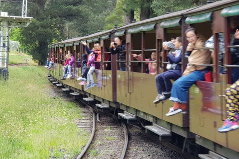 Day Tour Of Yarra Valley Puffing Billy And Rayners Orchard - Accommodation Adelaide 13