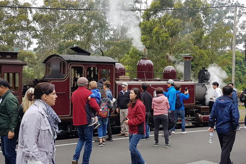 Day Tour Of Yarra Valley Puffing Billy And Rayners Orchard - Accommodation Adelaide 4