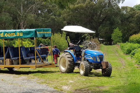 Day Tour Of Yarra Valley Puffing Billy And Rayners Orchard - Accommodation Adelaide 25