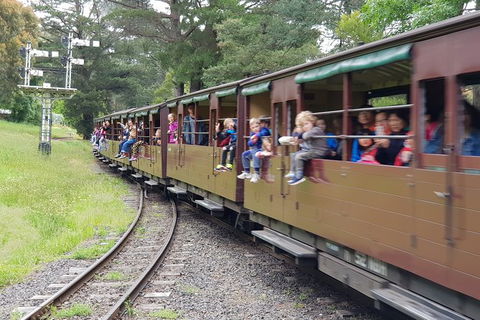 Day Tour Of Yarra Valley Puffing Billy And Rayners Orchard - Accommodation Adelaide 24