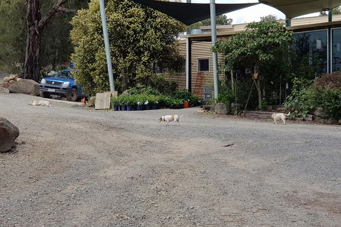 Day Tour Of Yarra Valley Puffing Billy And Rayners Orchard - Accommodation Adelaide 26