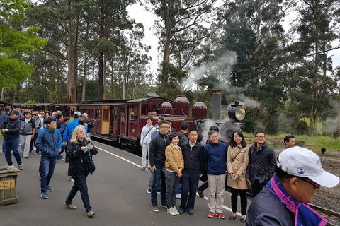 Day Tour Of Yarra Valley Puffing Billy And Rayners Orchard - Accommodation Adelaide 9