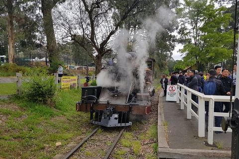 Day Tour Of Yarra Valley Puffing Billy And Rayners Orchard - Accommodation Adelaide 43