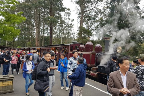 Day Tour Of Yarra Valley Puffing Billy And Rayners Orchard - Accommodation Adelaide 12