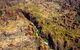 Purnululu Scenic With Argyle Diamond Mine Ground Tour - thumb 8