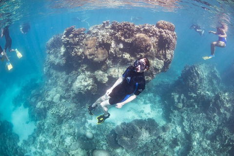 Coral Bay 2-Hour Coral Viewing And Snorkeling - Accommodation Adelaide 3