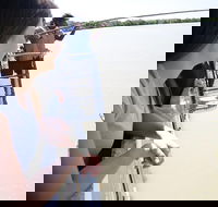 Darwin City Sights and Jumping Crocodile Cruise - Accommodation Adelaide