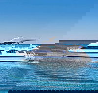 Rottnest Island Dive  Snorkel Day Trips - Accommodation Adelaide
