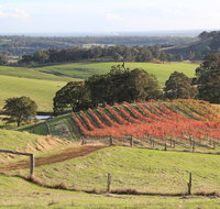 Ferguson Valley full day tour - Accommodation Adelaide