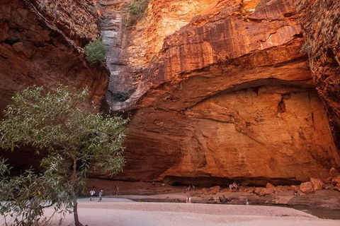 Overnight At Wilderness Lodge: Bungles, Cathedral + Echidna Chasm - Accommodation Adelaide 3
