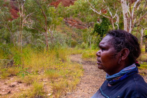 Overnight At Wilderness Lodge: Bungles, Cathedral + Echidna Chasm - Accommodation Adelaide 6