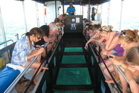 Coral Bay 1-Hour Coral Viewing - Accommodation Adelaide 3
