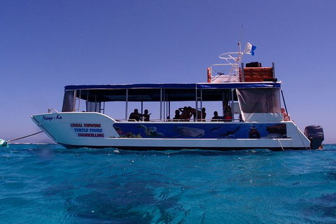 Coral Bay 1-Hour Coral Viewing - Accommodation Adelaide 1