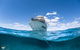 Full-Day Whale Watching Snorkeling And Swimming At Coral Bay - thumb 3