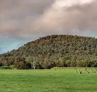 Baldwins Bluff Guided Hike - Accommodation Adelaide