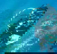 PADI Open Water Course - Accommodation Adelaide