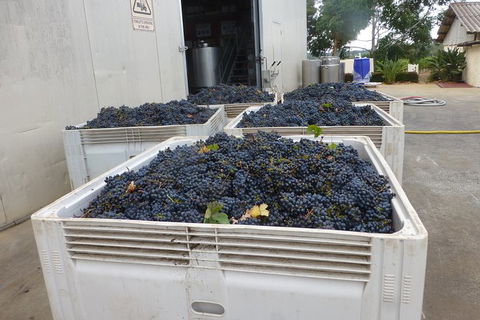 A Taste Of Margaret River Luxury Wine Tour - Accommodation Adelaide 3