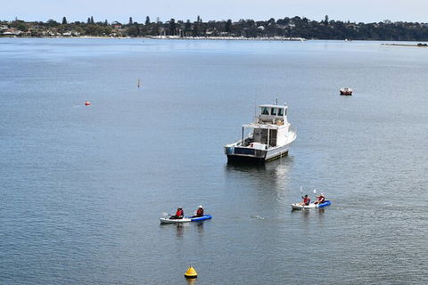 Cliffs And Caves Kayak Tour In Swan River - Accommodation Adelaide 5