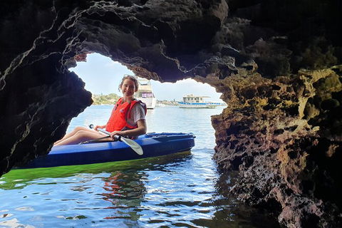 Cliffs And Caves Kayak Tour In Swan River - Accommodation Adelaide 3