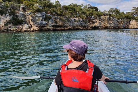 Cliffs And Caves Kayak Tour In Swan River - Accommodation Adelaide 1