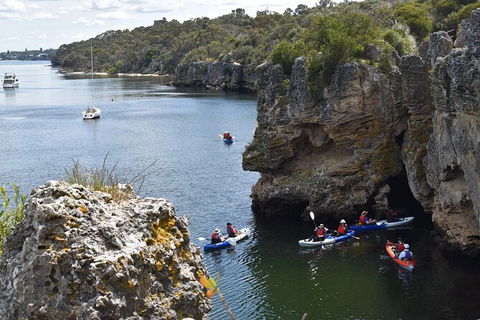 Cliffs And Caves Kayak Tour In Swan River - Accommodation Adelaide 2