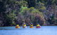 Private Guided River Kayak Tour - thumb 6