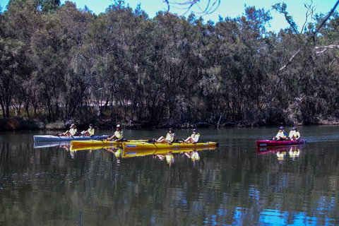 Private Guided River Kayak Tour - Accommodation Adelaide 5