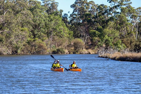 Private Guided River Kayak Tour - Accommodation Adelaide 7