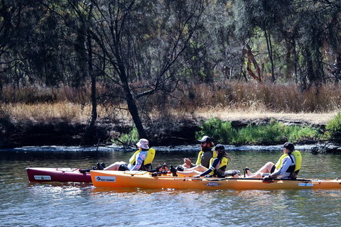 Private Guided River Kayak Tour - Accommodation Adelaide 3