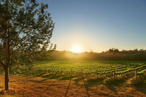 Private Barrel Hall Wine Tasting In The Margaret River Region - Accommodation Adelaide 3