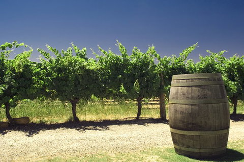 Pinnacles Desert Private Tour - Accommodation Adelaide 4