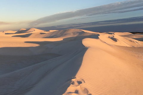 Pinnacles Desert Private Tour - Accommodation Adelaide 2