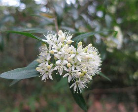 Bamarang NSW Accommodation Adelaide