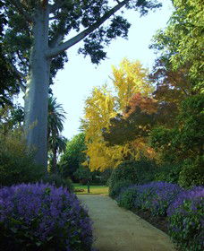  Accommodation Adelaide