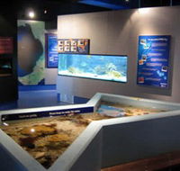 Marine and Freshwater Discovery Centre - Accommodation Adelaide