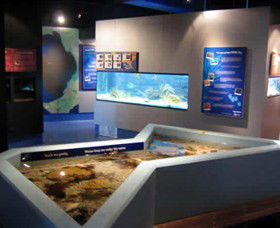 Marine And Freshwater Discovery Centre - Accommodation Adelaide 0