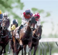 Colac Turf Club - Accommodation Adelaide